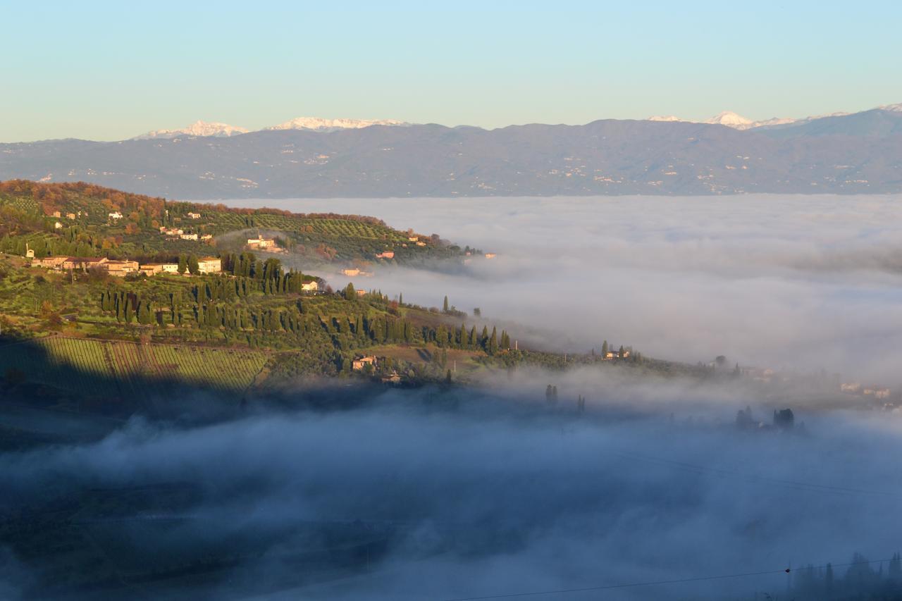 Tenuta Di Capezzana Bed & Breakfast Seano Eksteriør bilde