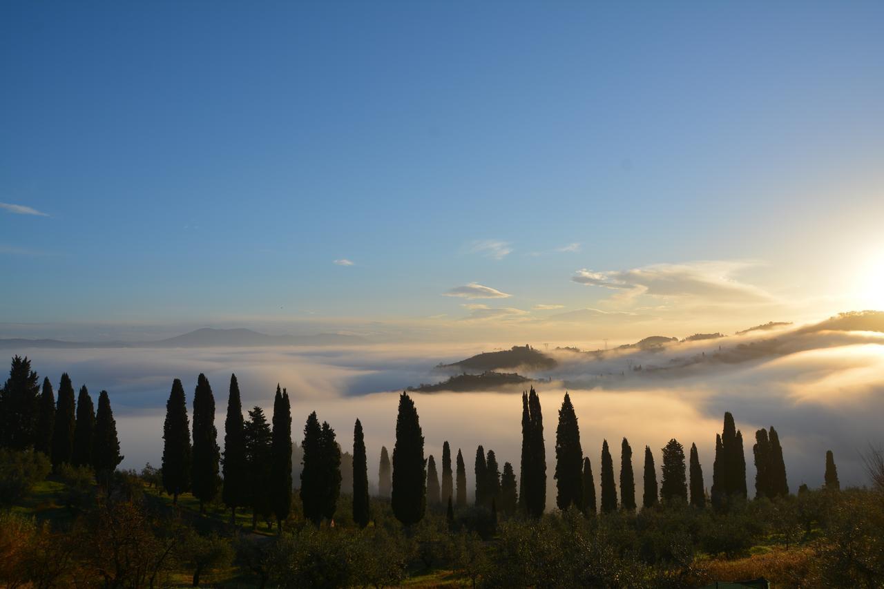 Tenuta Di Capezzana Bed & Breakfast Seano Eksteriør bilde